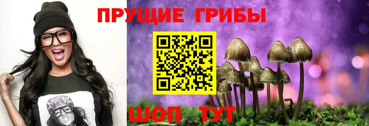 Галлюциногенные грибы мицелий  Вход с VPN  Дубна  Псилоцибиновые грибы прущие грибы 